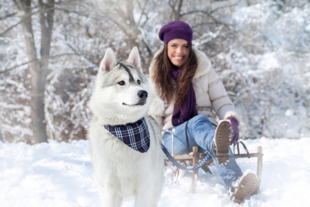 22632438-diversión-del-invierno-con-el-perro