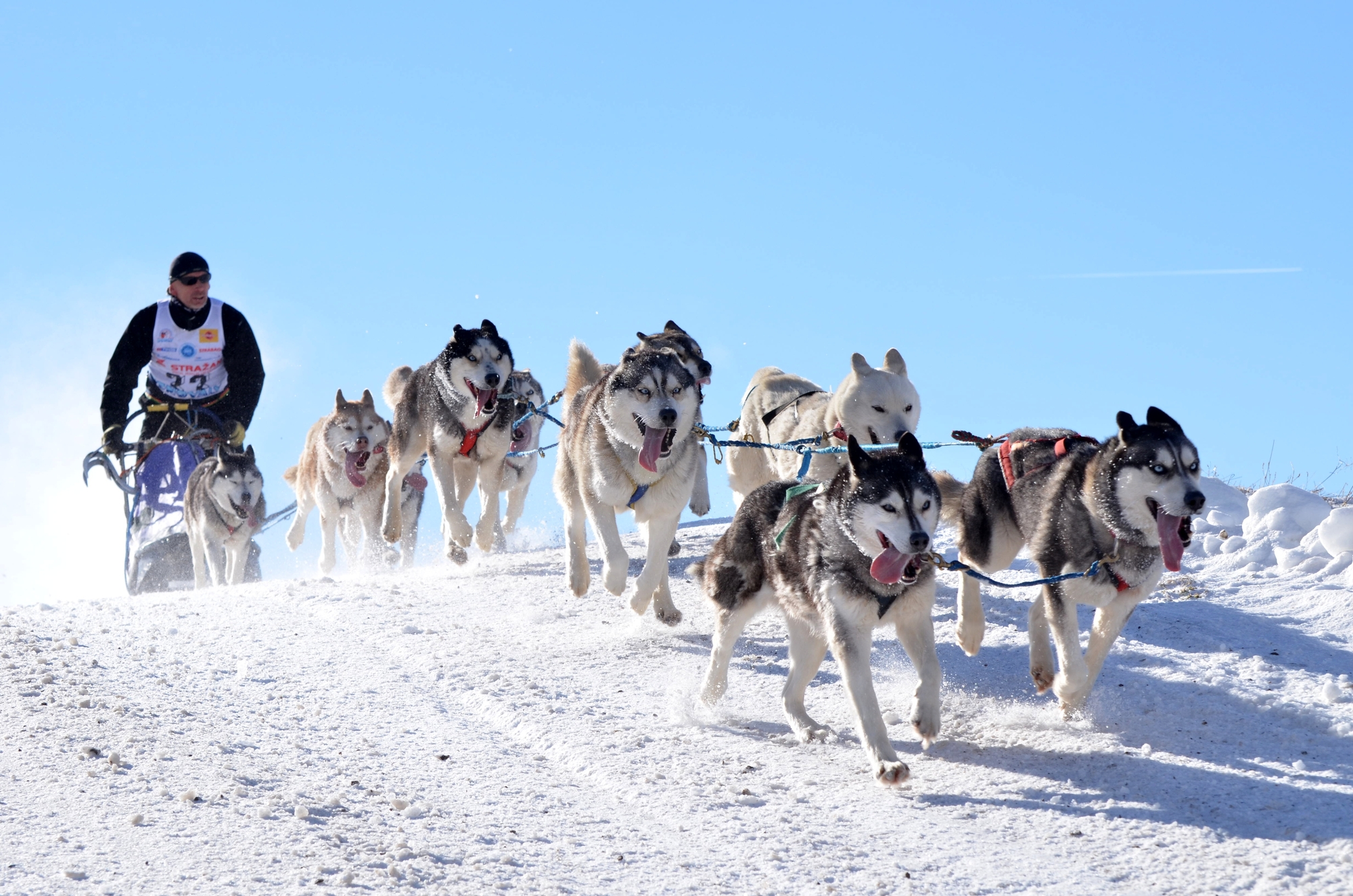 Mushing en Andorra